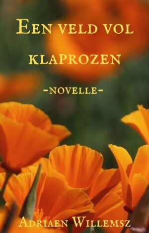 Een veld vol klaprozen